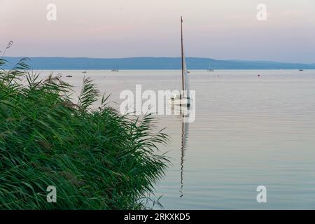 Segelschiff auf dem Plattensee an der Küste mit Schilf im Sommer. Stockfoto