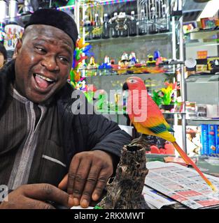 Bildnummer: 58996996  Datum: 09.01.2013  Copyright: imago/Xinhua (130109) -- HANGZHOU, Jan. 9, 2013 (Xinhua) -- File Photo taken on Nov. 20, 2012 shows Nigerien businessman Hassam talking with a sound-activated toy bird displayed at the Yiwu China Commodity Market in Yiwu, east China s Zhejiang Province. According to the lastest statistics released by the Yiwu Administration for Industry and Commerce, the turnover of Yiwu China Commodity Market in 2012 totaled more than 58 billion RMB yuan (about 9.31 billion U.S. dollars), rising by 12.6 percent year on year, with the daily turnover reaching Stock Photo
