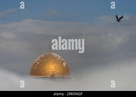 Bildnummer: 59017163  Datum: 10.01.2013  Copyright: imago/Xinhua JERUSALEM, Jan. 10, 2013 - A bird flies past a snow-covered Dome of the Rock on the compound known to Muslims as al-Haram al-Sharif and to Jews as Temple Mount in Old City of Jerusalem, on Jan. 10, 2013. (Xinhua/Yin Dongxun) (zjl) MIDEAST-JERUSALEM-SNOWFALL PUBLICATIONxNOTxINxCHN Gesellschaft Winter Schnee Wetter Jahreszeit x2x xac 2013 quer o0 Tempelberg Mosche Al Aqsa Kuppel Schnee Religion Islam     59017163 Date 10 01 2013 Copyright Imago XINHUA Jerusalem Jan 10 2013 a Bird FLIES Past a Snow Covered Dome of The Rock ON The Co Stock Photo