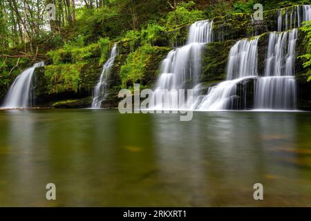 Ein kleiner, kaskadenartiger Wasserfall in einem grünen Wald Stockfoto