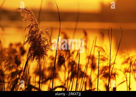 Bildnummer: 59085498  Datum: 15.01.2013  Copyright: imago/Xinhua TAIPEI, Jan. 15, 2013 - Photo taken on Jan. 15, 2013 shows sunset scenery in Dadaocheng in Taipei, southeast China. Dadaocheng, an area in the Datong District of Taipei, was an important trading port in the 19th century and is still a major historical tourist attraction and shopping area. (Xinhua/Xing Guangli) (lfj) CHINA-TAIPEI-DADAOCHENG-SUNSET (CN) PUBLICATIONxNOTxINxCHN Gesellschaft xas x0x 2013 quer premiumd     59085498 Date 15 01 2013 Copyright Imago XINHUA Taipei Jan 15 2013 Photo Taken ON Jan 15 2013 Shows Sunset scenery Stockfoto