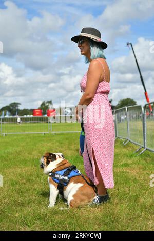 Hampshire, UK, 26th August 2023: Entrant in the golden oldie dog contest on the second day of the inaugural three day Fordingbridge Steam and Vintage Fest. Paul Biggins/Alamy Live News Stock Photo