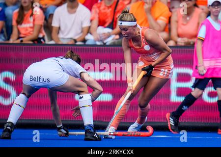 Monchengladbach, Deutschland. 26. August 2023. MONCHENGLADBACH, DEUTSCHLAND - AUGUST 26: Pien Dicke aus den Niederlanden dribbelt mit dem Ball während des Finalspiels der Frauen-EuroHockey-Champions 2023 zwischen den Niederlanden und Belgien im Hockeypark Monchengladbach am 26. August 2023 in Monchengladbach. (Foto: Rene Nijhuis/BSR Agency) Credit: BSR Agency/Alamy Live News Stockfoto