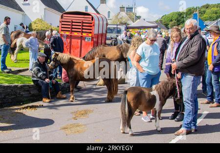 Rosscarbery Horse Fair West Cork Irland Stockfoto