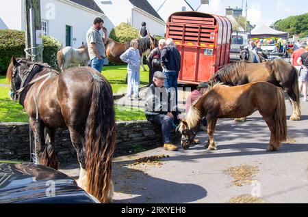 Rosscarbery Horse Fair West Cork Irland Stockfoto