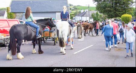 Rosscarbery Horse Fair West Cork Irland Stockfoto