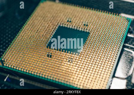 Goldene CPU-Mikrochip-Kontakte schließen sich an. Details zu Desktop-PC-Prozessoren mit selektiver Fokusansicht Stockfoto