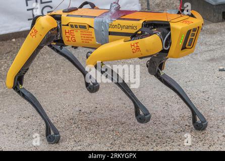 Yverdon-Les-Bains, Vaud, Switzerland. 26th Aug, 2023. Yverdon-Les-Bains Switzerland, 08/26/2023: The Boston Dynamics robot presented during Numerik Games Festival. Numerik Games Festival took place in the town of Yverdon-Les-Bains which is located on the shores of Lake NeuchÃ¢tel (Credit Image: © Eric Dubost/ZUMA Press Wire) EDITORIAL USAGE ONLY! Not for Commercial USAGE! Stock Photo