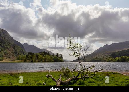 loch shiel in westlicher Richtung von glenfinnan Stockfoto