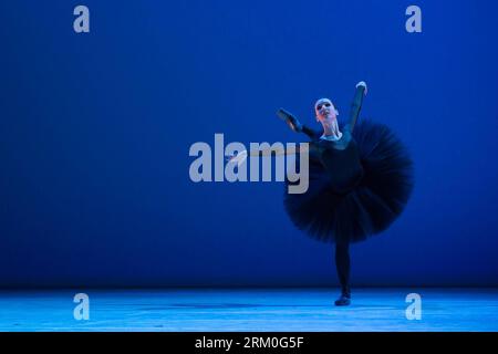 Bildnummer: 59413447  Datum: 22.03.2013  Copyright: imago/Xinhua (130323) -- BUDAPEST, March 22, 2013 (Xinhua) -- Olesia Shaytanova from Ukraine performs her dance Swan during the 6th Rudolph Nureyev International Ballet Competition in Budapest, Hungary, on March 22, 2013. The competition was named after Rudolf Nureyev, who was a well known Russian ballet dancer and choreographer. This year s event closed here on Friday, marking the 75th anniversary of his birth and 20th anniversary of his death. (Xinhua/Attila Volgyi) (dtf) HUNGARY-BUDAPEST-BALLET-COMPETITION PUBLICATIONxNOTxINxCHN Kultur Peo Stock Photo