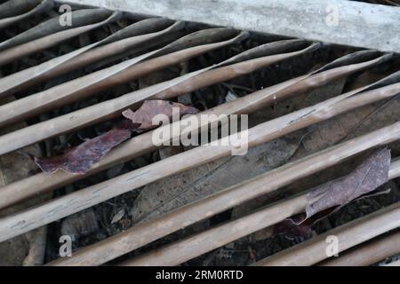 Trockene Kokosblätter. Trockene Kokosblattstruktur Stockfoto