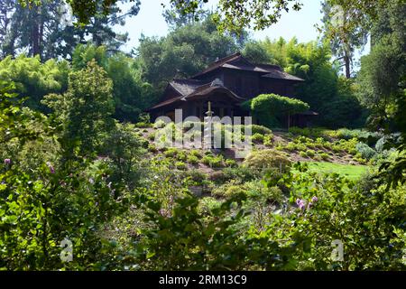 Teehaus im japanischen Garten der Huntington Library and Garden in San Marino, CA Stockfoto