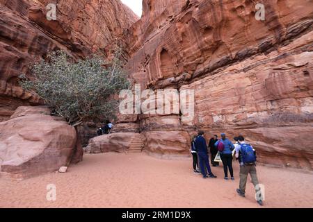 Menschen in der Khazali-Schlucht, berühmt für die alten Inschriften und Wasserlöcher, Wadi Rum, Jordanien, Nahost Stockfoto