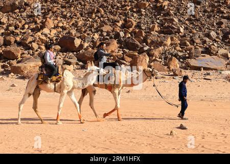 Kamele neben Lawrence's Spring, Wadi Rum, Jordanien, Naher Osten Stockfoto