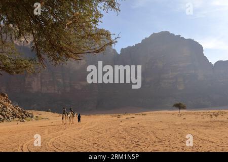 Kamele neben Lawrence's Spring, Wadi Rum, Jordanien, Naher Osten Stockfoto