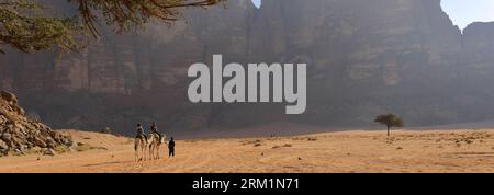 Kamele neben Lawrence's Spring, Wadi Rum, Jordanien, Naher Osten Stockfoto