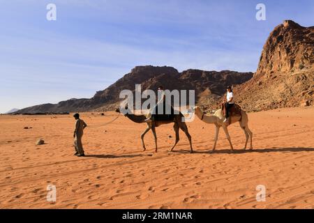 Kamele neben Lawrence's Spring, Wadi Rum, Jordanien, Naher Osten Stockfoto