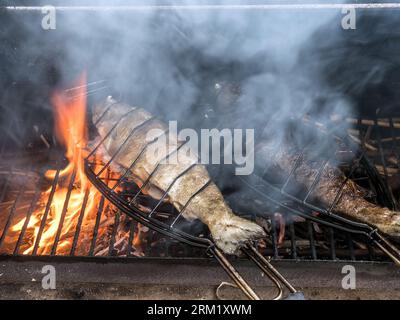 Zwei ganze Forellenfische werden auf dem Grill gegrillt Stockfoto