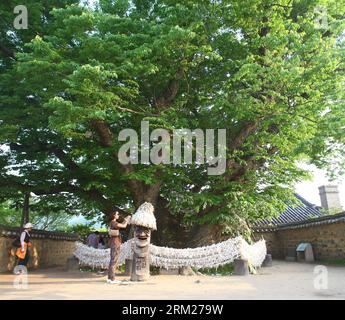 (130529) -- ANDONG, May 29, 2013 (Xinhua) -- A tourist makes a wish under a tree over 600 years old in Hahoe Village, Andong, South Korea, on May 25, 2013. Hahoe Village is a traditional village from the Joseon Dynasty. The village is a valuable part of Korean culture because it preserves Joseon period-style architecture and folk traditions. Hahoe Village, along with Yangdong Village in Gyeongju, was added to the UNESCO World Heritage List on July 31, 2010. (Xinhua/Yao Qilin) SOUTH KOREA-ANDONG-WORLD HERITAGE PUBLICATIONxNOTxINxCHN Stock Photo
