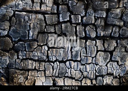 Segelboote und kleine Fischerboote im Hafen von Korcula in Kroatien. Stockfoto