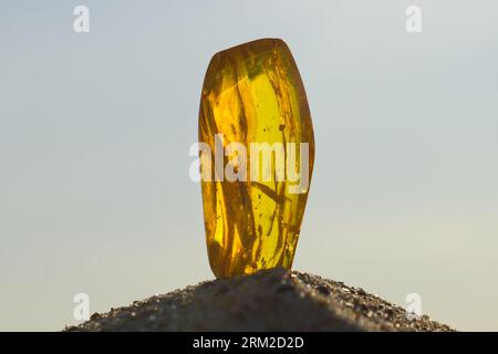 Eine natürliche, polierte Ostsee Amber an einem Sandstrand in den Strahlen der untergehenden Sonne. Kolobrzeg, Polen. Stockfoto