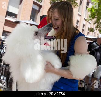 Bildnummer: 59796841 Datum: 10.06.2013 Copyright: imago/Xinhua (130610) -- TORONTO, 10. Juni 2013 (Xinhua) -- Ein Hund spielt mit seinem Besitzer während der Woofstock-Veranstaltung 2013 in Toronto, Kanada, 9. Juni 2013. Das 2003 gegründete Woofstock ist das größte Outdoor-Festival für Hunde in Nordamerika. Das diesjährige Festival fand vom 8. Bis 9. Juni statt. (Xinhua/Zou Zheng) (lyx) CANADA-TORONTO-WOOFSTOCK-DOG-FESTIVAL PUBLICATIONxNOTxINxCHN Gesellschaft x2x xkg 2013 Quadrat Erstaufführung o0 Tiere Hund Hundeschau USA kurios 59796841 Datum 10 06 2013 Copyright Imago XINHUA Toronto 10. Juni 2013 Stockfoto