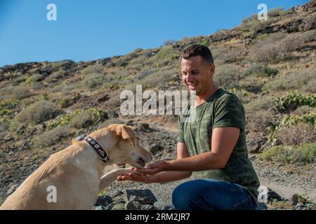 Der kaukasische Hundetrainer verwöhnt den gehorsamen labrador-Hund, der ihm die Pfote gibt Stockfoto