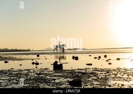 Silhouette eines Pferderitters, geführt von einem Mann am Seef Beach Bahrain Stockfoto
