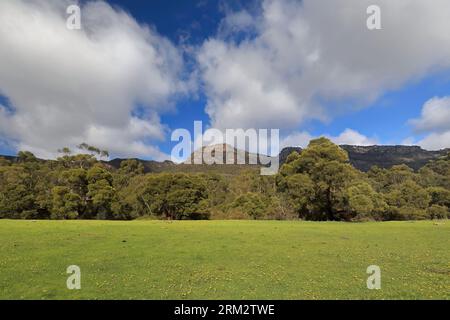 874 Nordgrampian Mountains Ostwand vom Boomerang Wurffeld aus gesehen. Halls Gap-Australia. Stockfoto