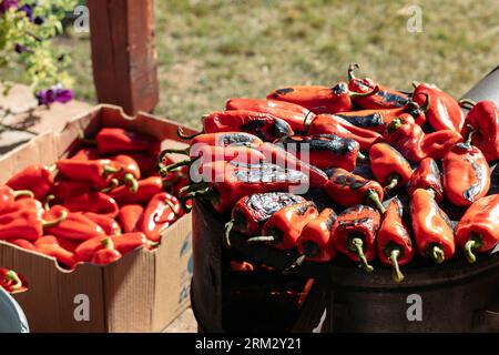 Rösten von Paprika, Paprika, für die Zubereitung von Ajvar. Traditionelle balkanische Küche Stockfoto