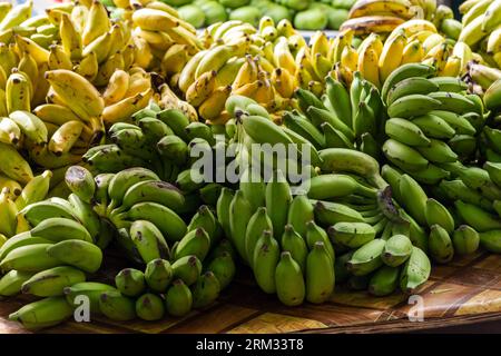 Green and yellow bananas. Local fruits lay on a counter of a marketplace. Seychelle islands Stock Photo