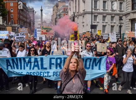 London, UK. 26th Aug, 2023. A protester holds a smoke flare during the demonstration in Whitehall. Crowds marched through central London during the National Animal Rights March, demanding an end to all forms of animal exploitation and abuse, and in support of animal rights and veganism. Credit: SOPA Images Limited/Alamy Live News Stockfoto