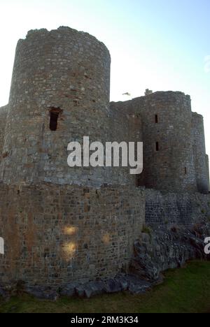 Detail von Harlech Castle in Harlech, Gwynedd, Wales. Stockfoto