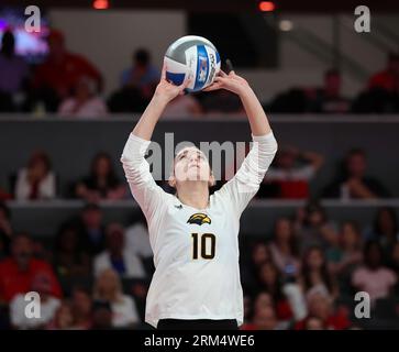 August 26, 2023: Southern Miss setter Franky Panunzio (10) sets the ball during an NCAA volleyball match between Houston and Southern Miss on August 26, 2023 in Houston. (Credit Image: © Scott Coleman/ZUMA Press Wire) EDITORIAL USAGE ONLY! Not for Commercial USAGE! Credit: ZUMA Press, Inc./Alamy Live News Stock Photo