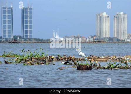 Bildnummer: 60731023  Datum: 19.11.2013  Copyright: imago/Xinhua (131119) -- JAKARTA, Nov. 19, 2013 (Xinhua) -- A White and Grey Heron looks for fish at a coastal beach infested with garbage in Jakarta, Indonesia, Nov, 19, 2013. The Jakarta administration plans to impose penalties for littering in 2014. (Xinhua/Zulkarnain) INDONESIA-JAKARTA-HERON PUBLICATIONxNOTxINxCHN Gesellschaft Tiere Reiher Müll Küste Meer x0x xsk 2013 quer Aufmacher      60731023 Date 19 11 2013 Copyright Imago XINHUA  Jakarta Nov 19 2013 XINHUA a White and Grey Heron Looks for Fish AT a Coastal Beach infested With Garbag Stock Photo