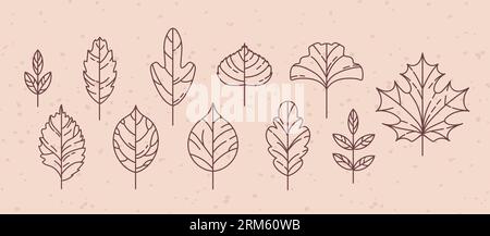 Set of vintage autumn leaf icons. Maple and rowan, ginkgo biloba, Codiaeum, lilac, linden and oak, elm and poplar. Doodle style. For stickers, web des Stock Vektor