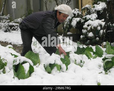 HANOI, 16. Dezember 2013 (Xinhua) -- Ein Mann entfernt Schnee auf Gemüse in Sa Pa County der nördlichen Provinz Lao Cai, etwa 250 km nordwestlich der Hauptstadt Hanoi, 16. Dezember 2013. Laut Statistiken des Landwirtschaftsministeriums von Sa Pa wurden in den letzten zwei Tagen über 200 Hektar Gemüse und Blumen durch starken Schneefall zerstört. (Xinhua/VNA) VIETNAM-LAO CAI-SA PA-SNOWFALL PUBLICATIONxNOTxINxCHN Hanoi DEZ 16 2013 XINHUA ein Mann entfernt Schnee AUF Gemüse in Sat PA County von Vietnam S Northern LAO Cai Provinz etwa 250 km nordwestlich der Hauptstadt Hanoi DEZ 16 2013 Accord Stockfoto