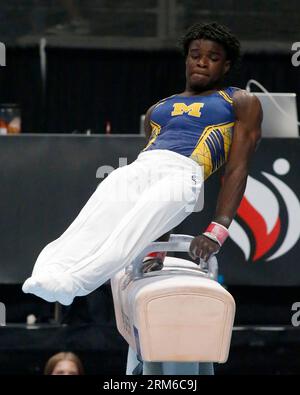 San Jose, Kalifornien, USA. 26. August 2023. Frederick Richard (43) tritt am Samstag, den 26. August 2023, bei den Xfinity U.S. Gymnastics Championships im SAP Center in San Jose, Kalifornien, auf dem Prunk 2023-Pferd auf (Bild: © David G. McIntyre/ZUMA Press Wire) NUR REDAKTIONELLE VERWENDUNG! Nicht für kommerzielle ZWECKE! Stockfoto