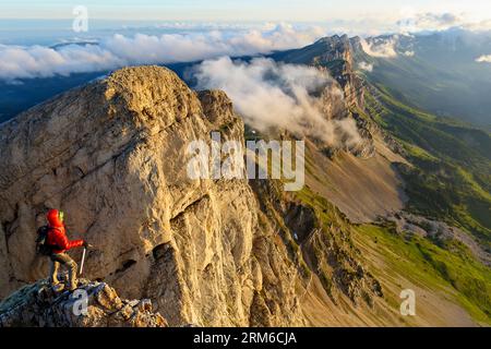 ISERE (38). PARC NATUREL DU VERCORS. FALAISES DU GRAND VEYMONT (2341 MIO.) Stockfoto