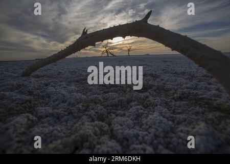 (140106) --LOS ANGELES, 6. Januar 2014 (Xinhua) -- Eine Salzkruste wird am 4. Januar 2014 in der Nähe des Salton Sea in Bombay Beach, Kalifornien, gesehen. Im März 2012 bestätigte der California Supreme Court ein massives Wasserübertragungssystem, das wahrscheinlich den landwirtschaftlichen Abfluss abschneiden würde, der Kaliforniens größten See, den Salton Sea, auffüllt. Wenn der See austrocknet, fürchten Umweltschützer und Gesundheitsschützer, dass er giftigen Staub mit Selen und Arsen aufwirbelt, der sich in Südkalifornien ausbreiten könnte. (Xinhua/Zhao Hanrong) (bxq) US-LOS ANGELES-SALTON SEA PUBLICATIONxNOTxINxCHN Los Angeles 6. Januar Stockfoto