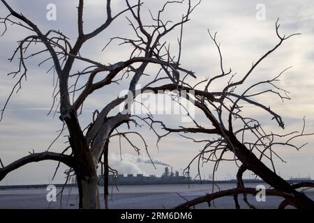 (140106) --LOS ANGELES, 6. Januar 2014 (Xinhua) -- am 4. Januar 2014 werden tote Äste am Ufer des Salton Sea in Bombay Beach, Kalifornien, gesehen. Im März 2012 bestätigte der California Supreme Court ein massives Wasserübertragungssystem, das wahrscheinlich den landwirtschaftlichen Abfluss abschneiden würde, der Kaliforniens größten See, den Salton Sea, auffüllt. Wenn der See austrocknet, fürchten Umweltschützer und Gesundheitsschützer, dass er giftigen Staub mit Selen und Arsen aufwirbelt, der sich in Südkalifornien ausbreiten könnte. (Xinhua/Zhao Hanrong) (bxq) US-LOS ANGELES-SALTON SEA PUBLICATIONxNOTxINxCHN Los Ange Stockfoto