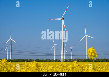 Windturbinen und Stromleitungen in einem in Deutschland beobachteten blühenden Rapsfeld Stockfoto