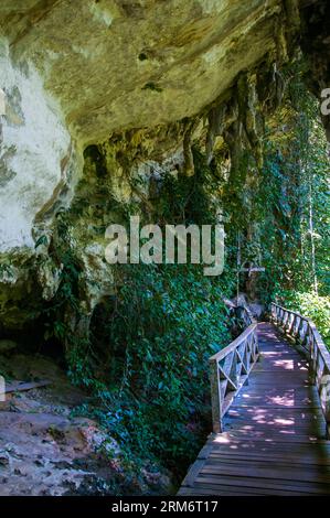 In den Niah-Höhlen, die heute einen Nationalpark und ein Weltkulturerbe in Sarawak, Malaysian Borneo, bilden, wurden uralte menschliche Überreste gefunden Stockfoto