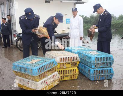 (140212) -- HANOI, 12. Februar 2014 (Xinhua) -- Veterinärangehörige überprüfen lebende Geflügelprodukte, die auf einem Markt in der Stadt Dong Ha, Provinz Quang Tri, Vietnam, 12. Februar 2014 verkauft wurden. Die Zentralprovinz Quang Tri führt derzeit eine Reihe von Maßnahmen durch, um die Ausbreitung der Vogelgrippe zu verhindern. (Xinhua/VNA)(zhf) VIETNAM-QUANG TRI-BIRD GRIPPE-PRÄVENTION PUBLICATIONxNOTxINxCHN Hanoi 12. Februar 2014 XINHUA Veterinary Staff Members Check Live verkauft AUF einem Markt in der Stadt Dong Ha Provinz Quang TRI Vietnam 12. Februar 2014 die Zentralprovinz Quang TRI führt eine Reihe von Maßnahmen durch, um die Ausbreitung der Vogelgrippe XINHUA zu verhindern Stockfoto