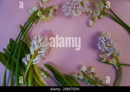 Internationaler Frauentag, 8. März! Flache Lage, Banner, Grußkarte mit Blumen vom 8. März. Für Text platzieren Stockfoto