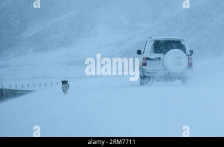 (140216) -- DARI, 16. Februar 2014 (Xinhua) -- Ein Fahrzeug fährt auf einer schneebedeckten Straße im Dari County der Tibetanischen Autonomen Präfektur Golog, nordwestchinesische Provinz Qinghai, 16. Februar 2014. Am Sonntag fiel in den meisten Teilen von Qinghai Schnee. (Xinhua/Wu Gang) (hdt) CHINA-QINGHAI-SNOWFALL (CN) PUBLICATIONxNOTxINxCHN 16. Februar 2014 XINHUA A-Fahrzeug fährt AUF einer schneebedeckten Straße im County of Tibetan Autonomous Prefecture of Golog Northwest China S Qinghai Province 16. Februar 2014 Schneefell in den meisten Teilen von Qinghai AM Sonntag XINHUA WNOu Monitoring HDATATChina Qinghai QinxBLINxCN Stockfoto