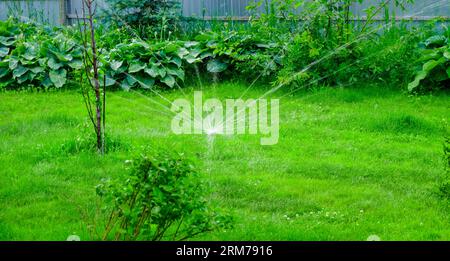 Sammer im Garten. Automatische Bewässerung des grünen Rasens Stockfoto