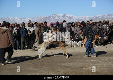 (140302) -- GHAZNI, 2. März 2014 (Xinhua) -- People Watch Dog FIGHTING in Ghazni 2014 Province, AFGHANISTAN, 2. März 2014.(XINHUA/Rahmat)(zhf) 2014 Afghanistan-Ghazni-DOG Fighting Stockfoto