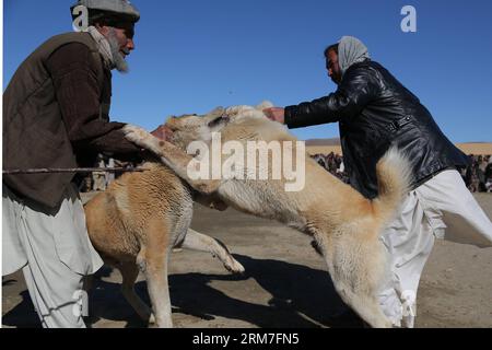 (140302) -- GHAZNI, March 2, 2014 (Xinhua) -- Two dogs fight with each other in Ghazni province, Afghanistan, March 2, 2014.(Xinhua/Rahmat)(zhf) AFGHANISTAN-GHAZNI-DOG FIGHTING PUBLICATIONxNOTxINxCHN   Ghazni March 2 2014 XINHUA Two Dogs Fight With each Other in Ghazni Province Afghanistan March 2 2014 XINHUA Rahmat  Afghanistan Ghazni Dog Fighting PUBLICATIONxNOTxINxCHN Stock Photo