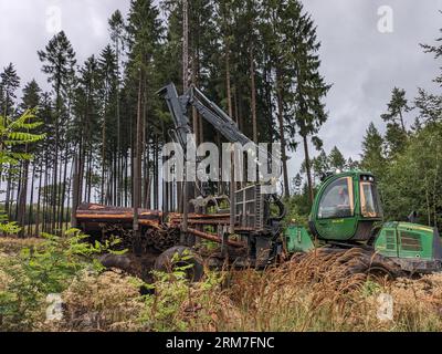 Der Erntemaschine arbeitet im Wald. Holzernte. Holz als erneuerbare Energiequelle. Land- und Forstwirtschaft. Rindenkäfer verheerende Schäden, Entwaldung Stockfoto